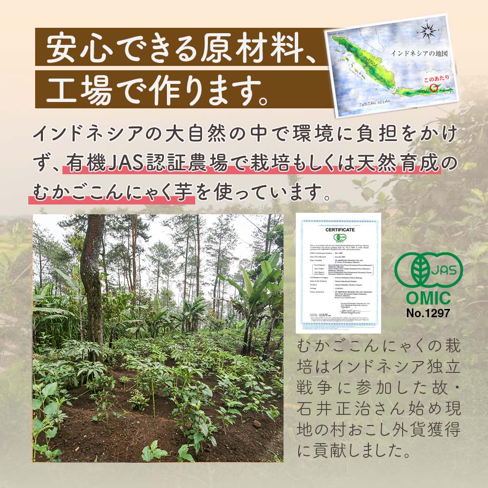 安心できる原材料、工場で作ります。有機JAS認証農場もしくは天然育成のむかごこんにゃくが原材料
