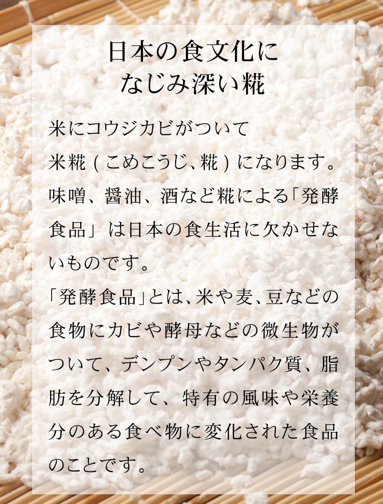 河童の糀甘酒 濃縮甘酒 麹甘酒 | ところてんの伊豆河童 本店